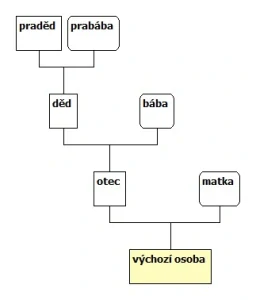 Agnátní vývod do 4. generace