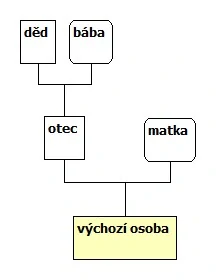 Agnátní vývod do 3. generace